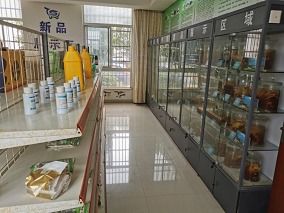 喜報！市水產站榮獲江蘇省漁業科技服務與示范推廣一等獎，計算機系統服務功不可沒